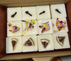 Cajita 6 Wax melts botánico - 1Aroma