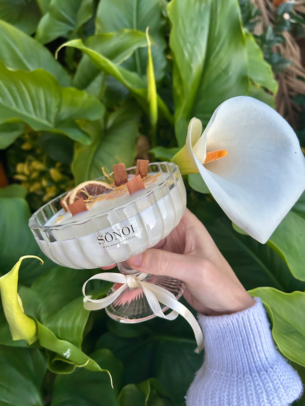 Copa primavera • Mousse de limón