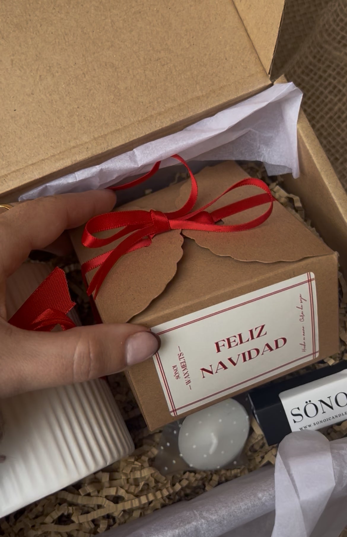 Pack Navidad 3 • Quemador+Wax melts•complementos