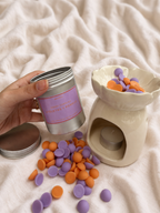 Pack Primavera • Quemador + Wax melts 100g